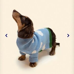 Little Beast Silver Linings Sweater Size XS